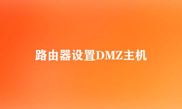路由器设置DMZ主机