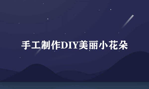 手工制作DIY美丽小花朵