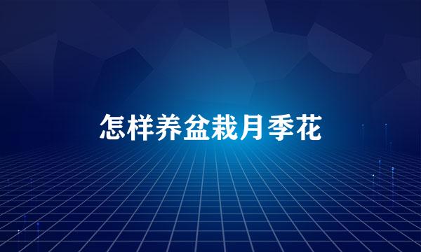 怎样养盆栽月季花