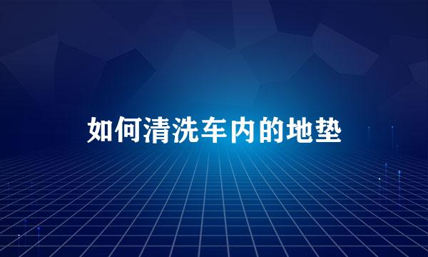 如何清洗车内的地垫