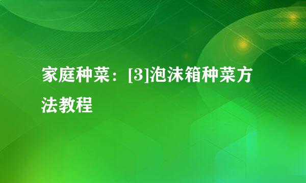 家庭种菜：[3]泡沫箱种菜方法教程