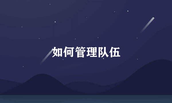 如何管理队伍