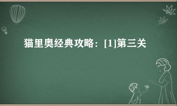 猫里奥经典攻略：[1]第三关