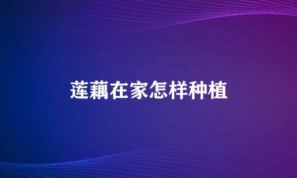 莲藕在家怎样种植