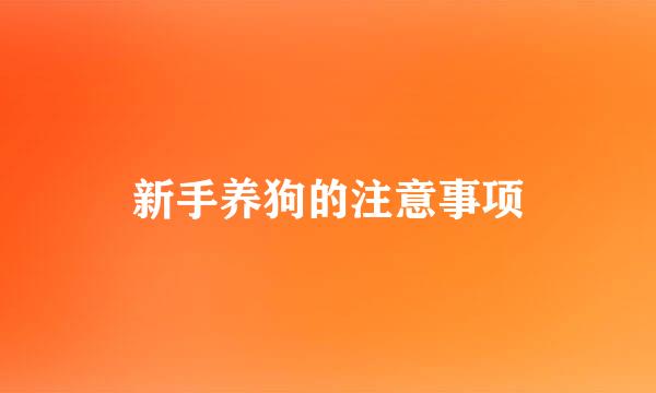新手养狗的注意事项