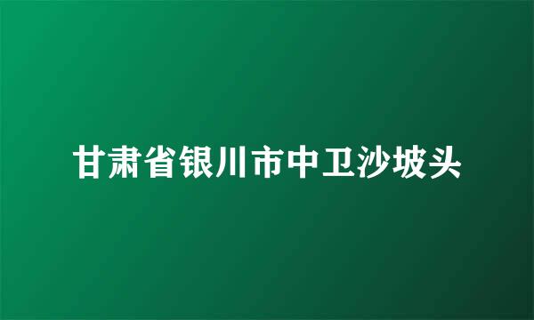 甘肃省银川市中卫沙坡头
