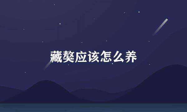 藏獒应该怎么养