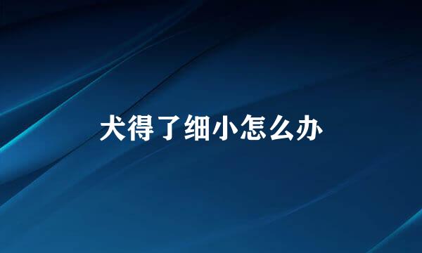 犬得了细小怎么办