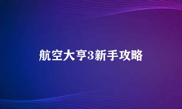 航空大亨3新手攻略
