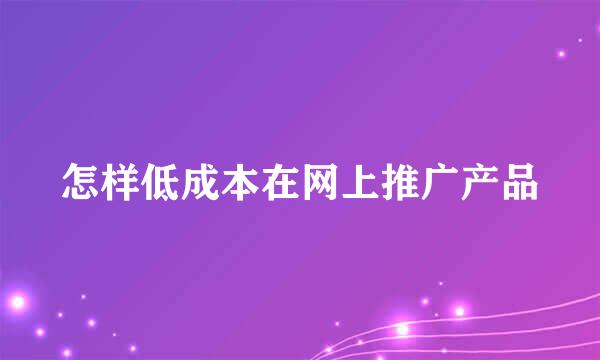 怎样低成本在网上推广产品