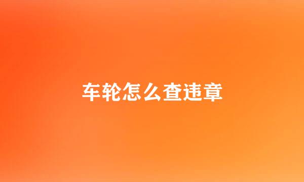 车轮怎么查违章