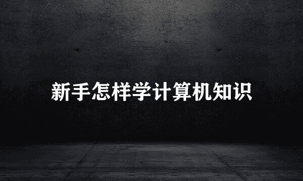 新手怎样学计算机知识