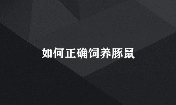 如何正确饲养豚鼠