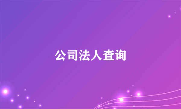 公司法人查询