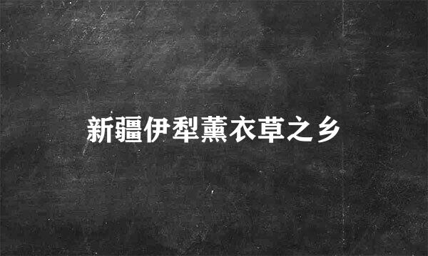 新疆伊犁薰衣草之乡