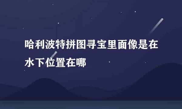 哈利波特拼图寻宝里面像是在水下位置在哪