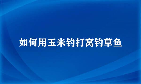 如何用玉米钓打窝钓草鱼