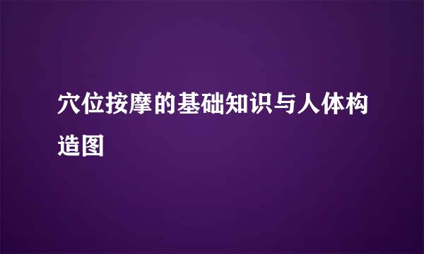穴位按摩的基础知识与人体构造图