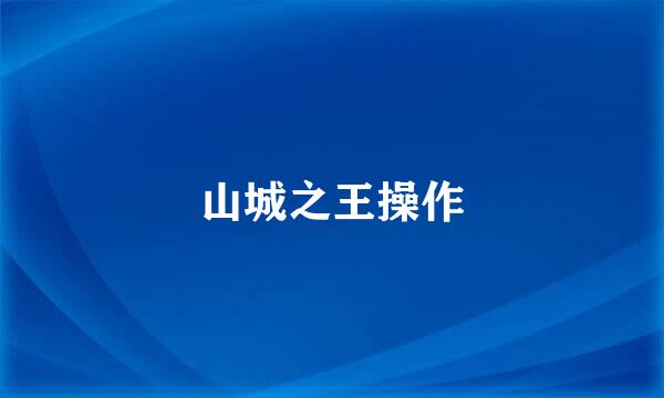 山城之王操作
