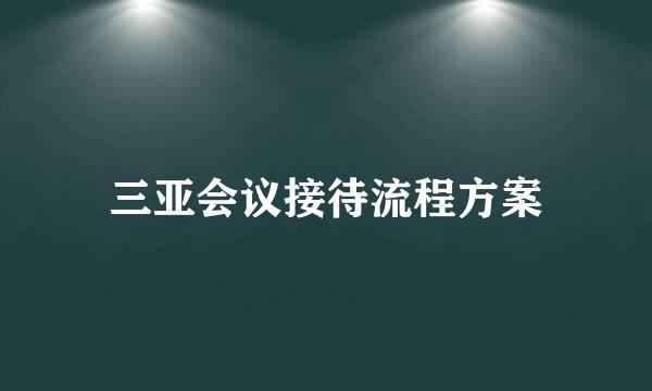 三亚会议接待流程方案