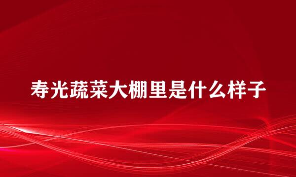 寿光蔬菜大棚里是什么样子