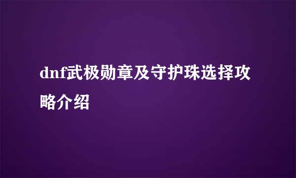 dnf武极勋章及守护珠选择攻略介绍