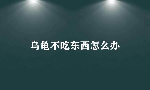 乌龟不吃东西怎么办
