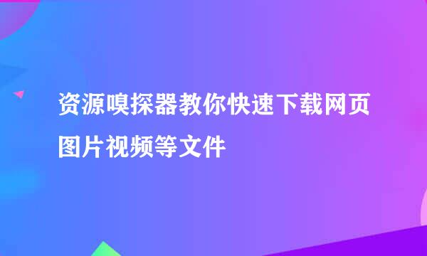 资源嗅探器教你快速下载网页图片视频等文件