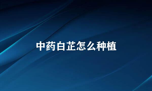 中药白芷怎么种植