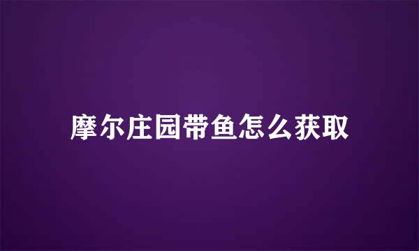 摩尔庄园带鱼怎么获取