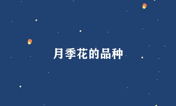 月季花的品种