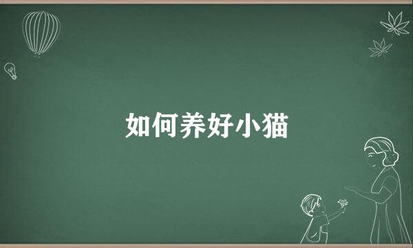 如何养好小猫