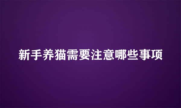 新手养猫需要注意哪些事项