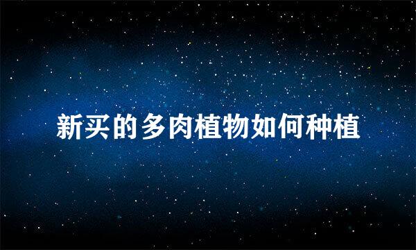 新买的多肉植物如何种植