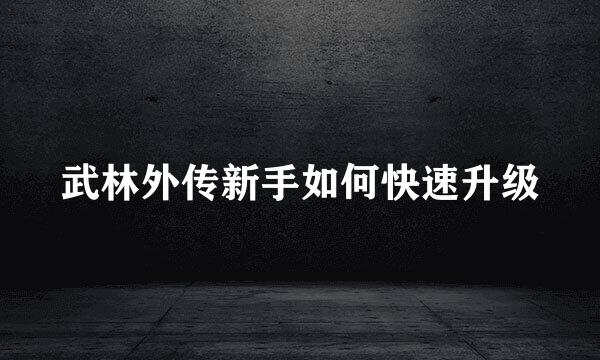 武林外传新手如何快速升级