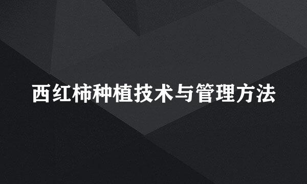 西红柿种植技术与管理方法
