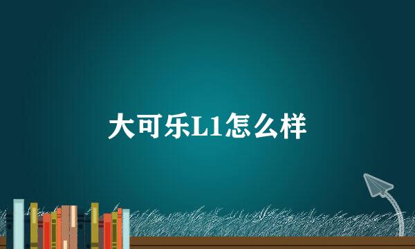 大可乐L1怎么样