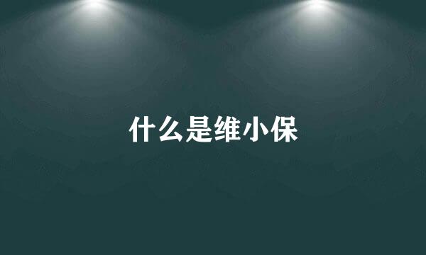 什么是维小保