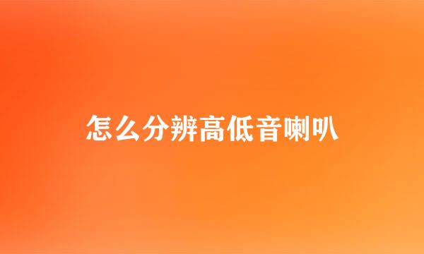怎么分辨高低音喇叭