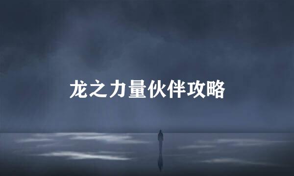 龙之力量伙伴攻略