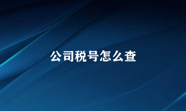 公司税号怎么查