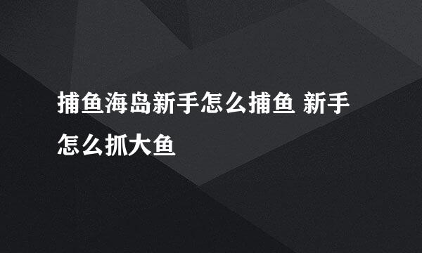 捕鱼海岛新手怎么捕鱼 新手怎么抓大鱼
