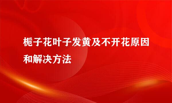 栀子花叶子发黄及不开花原因和解决方法