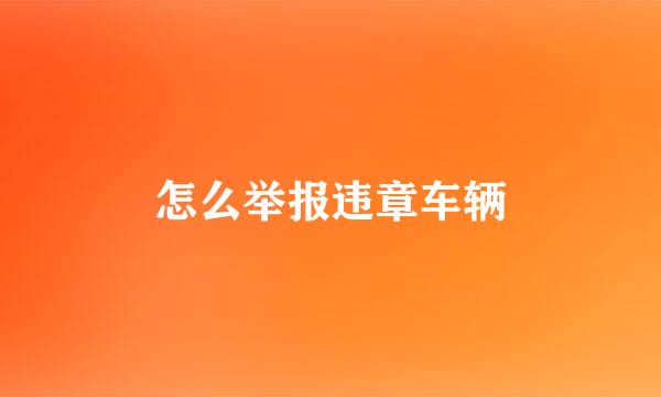 怎么举报违章车辆