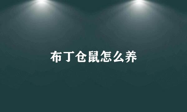 布丁仓鼠怎么养