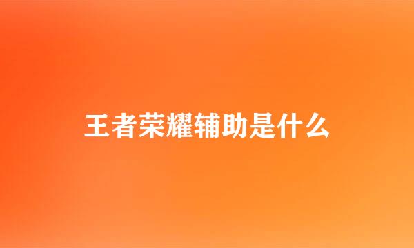 王者荣耀辅助是什么