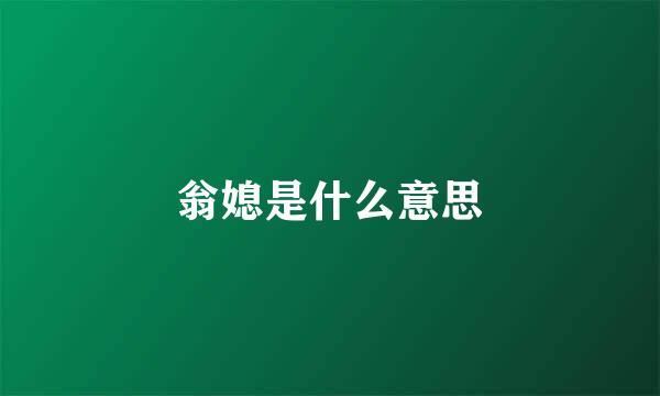 翁媳是什么意思