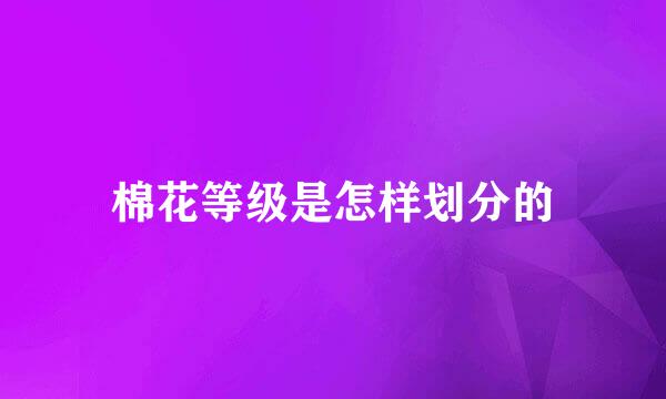 棉花等级是怎样划分的