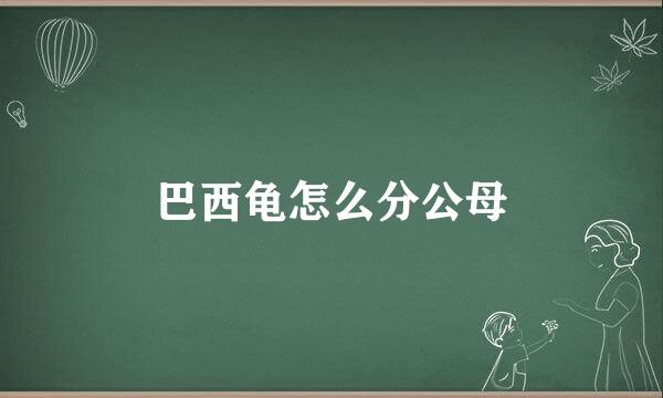 巴西龟怎么分公母