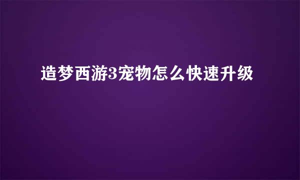 造梦西游3宠物怎么快速升级